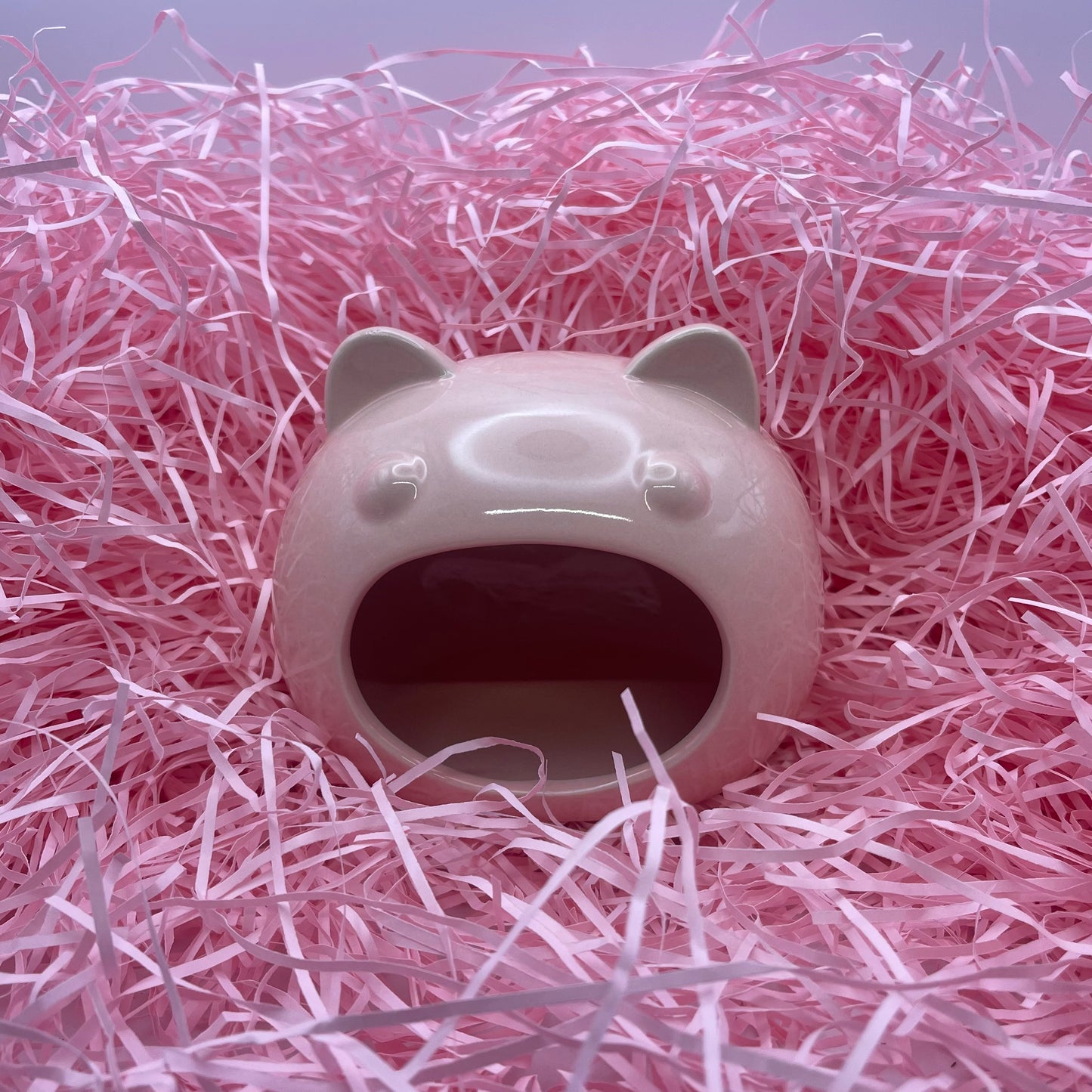 Pink Teddy Ceramic Hide