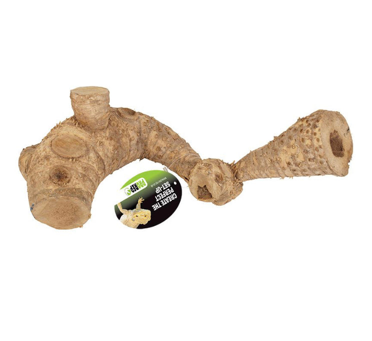 Bamboo Root