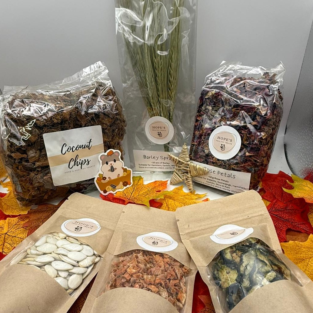 Hamster Subscription Box