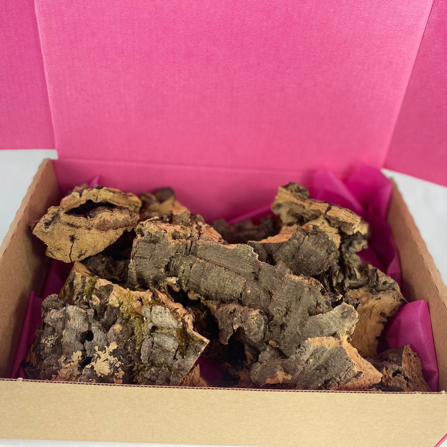 Cork Pieces
