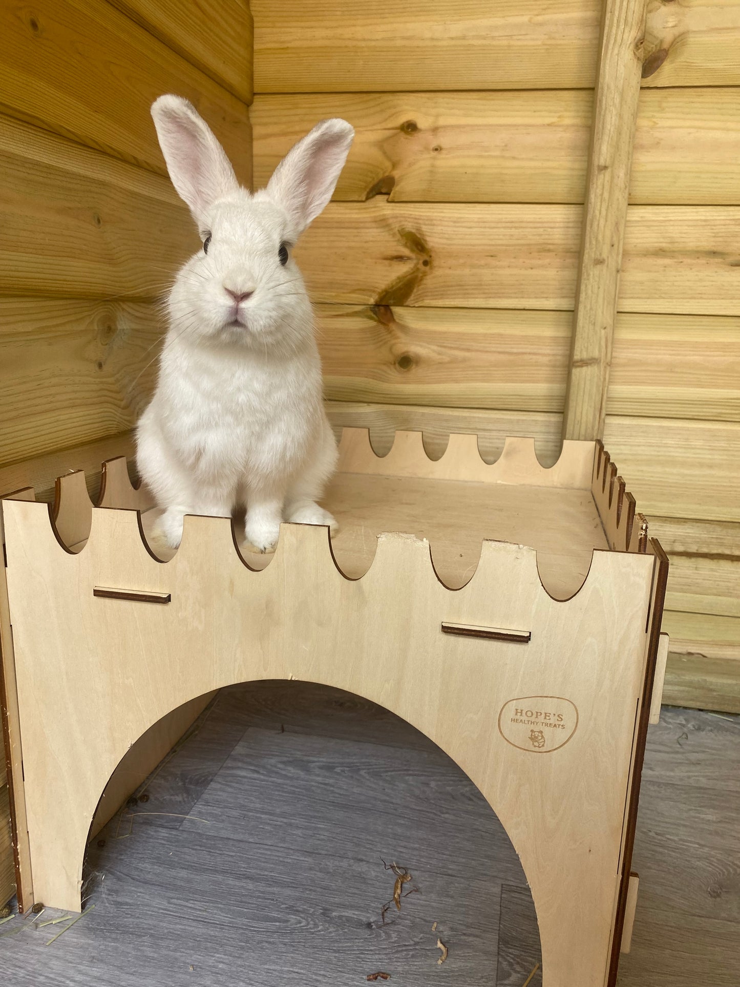 Wooden Castle Hide