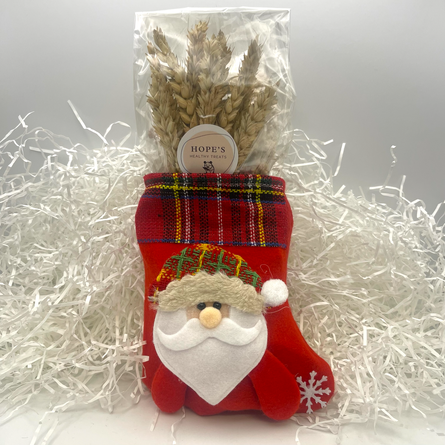 Christmas Stocking for Rats & Mice