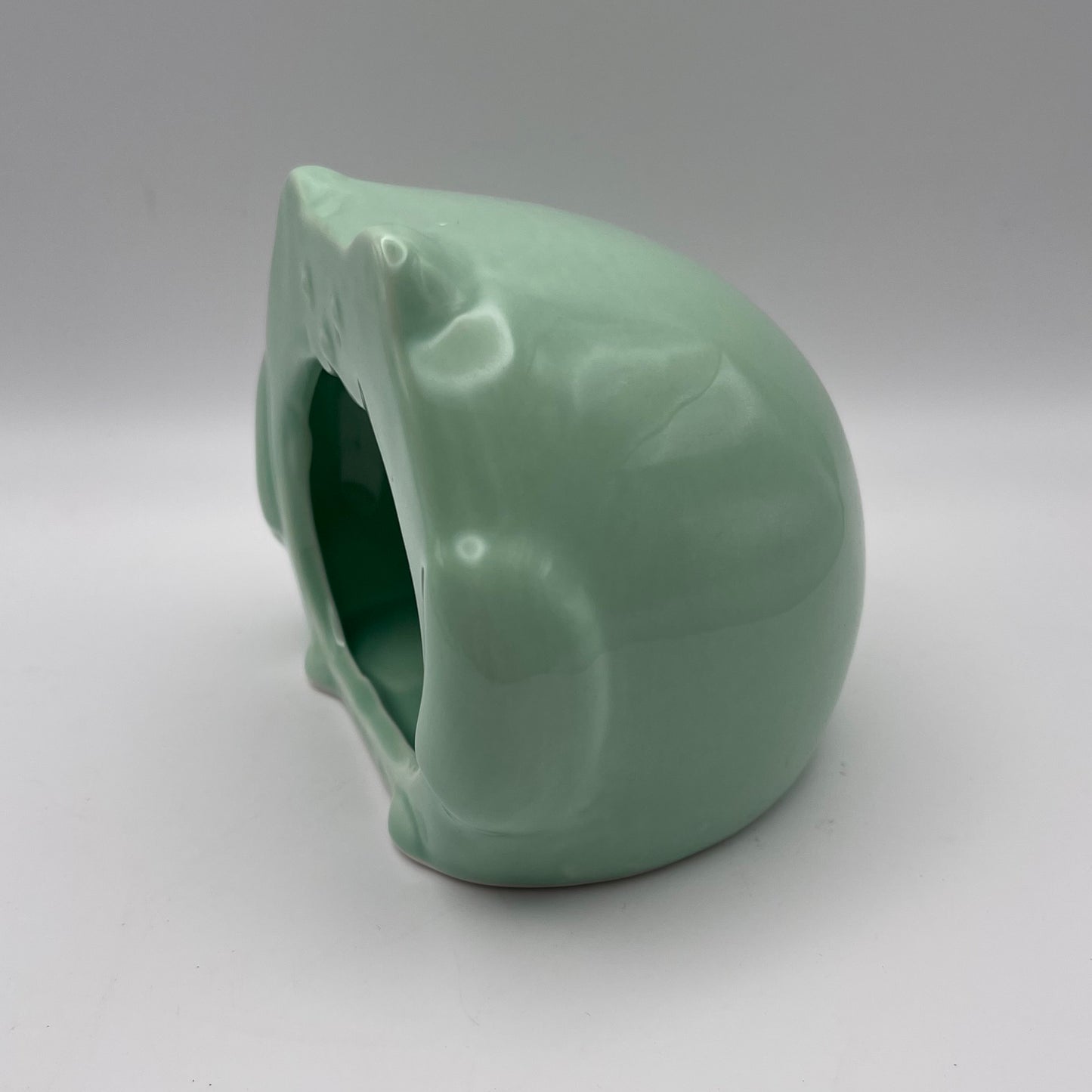Mint Green Ceramic Hide