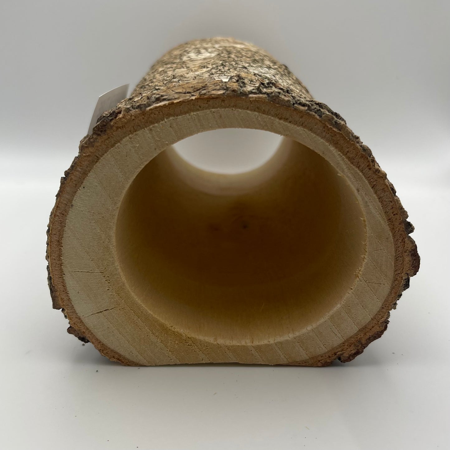 Birch Tunnel