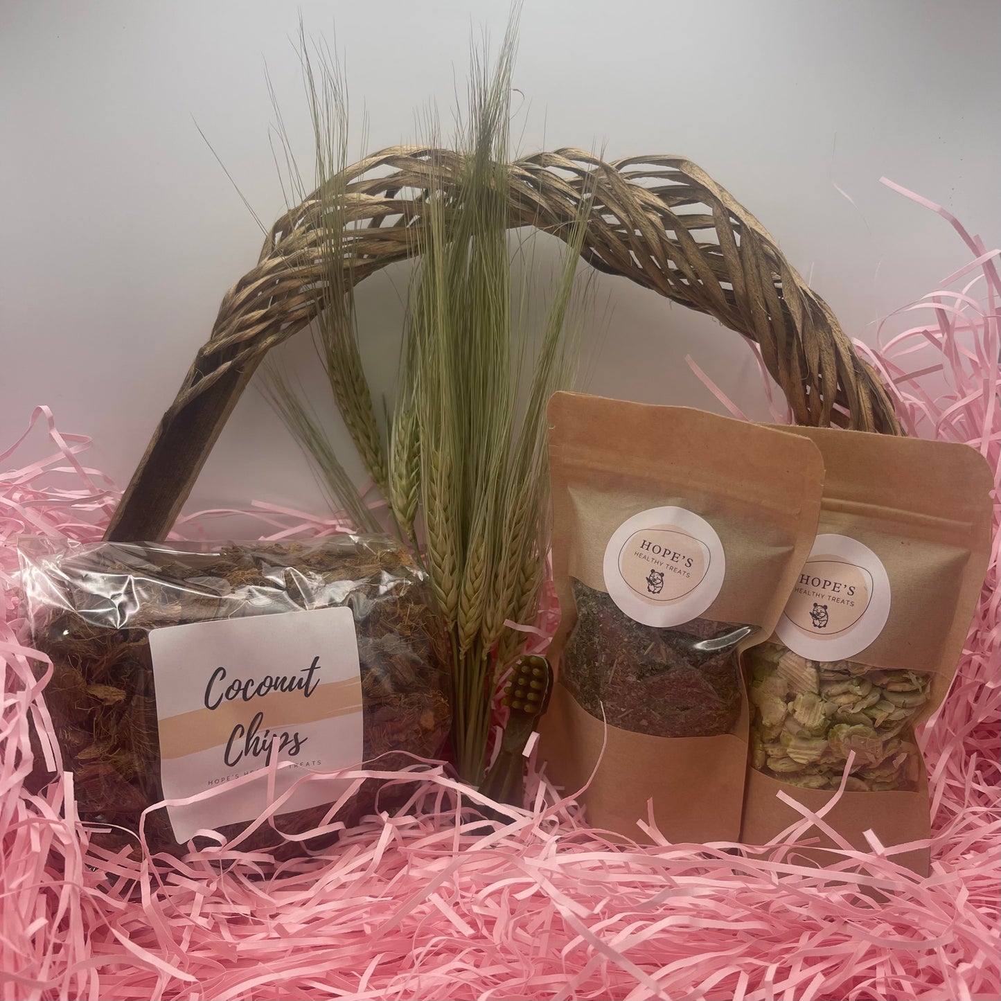 Mouse Subscription Box