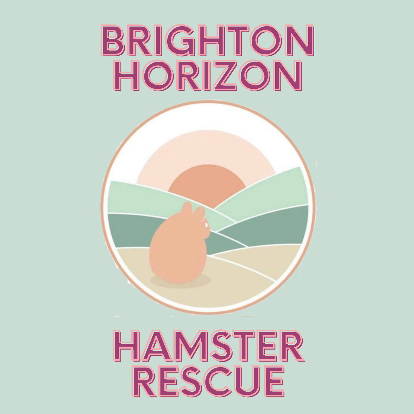 Donation Box for The Bright Horizon Hamster Rescue