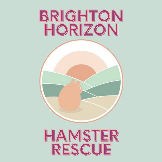 Donation Box for The Bright Horizon Hamster Rescue