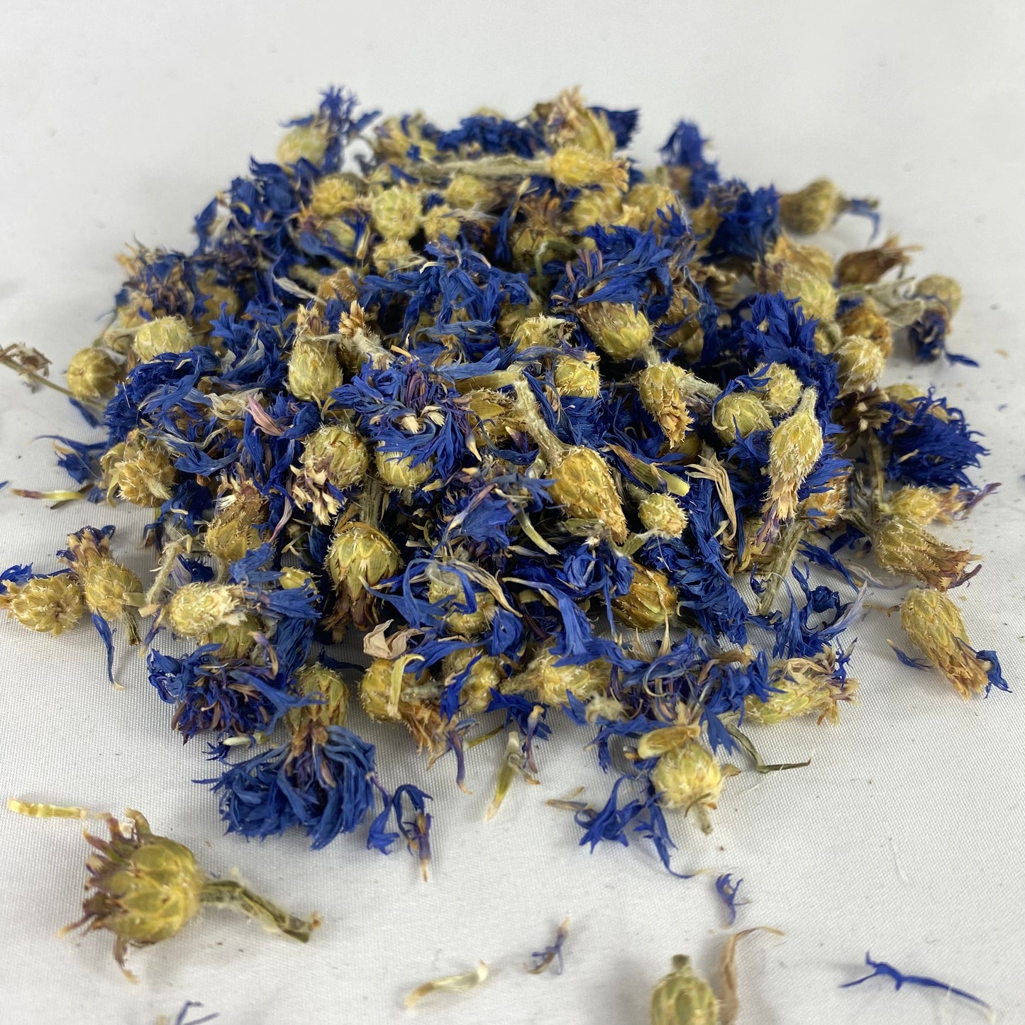 Blue Cornflower