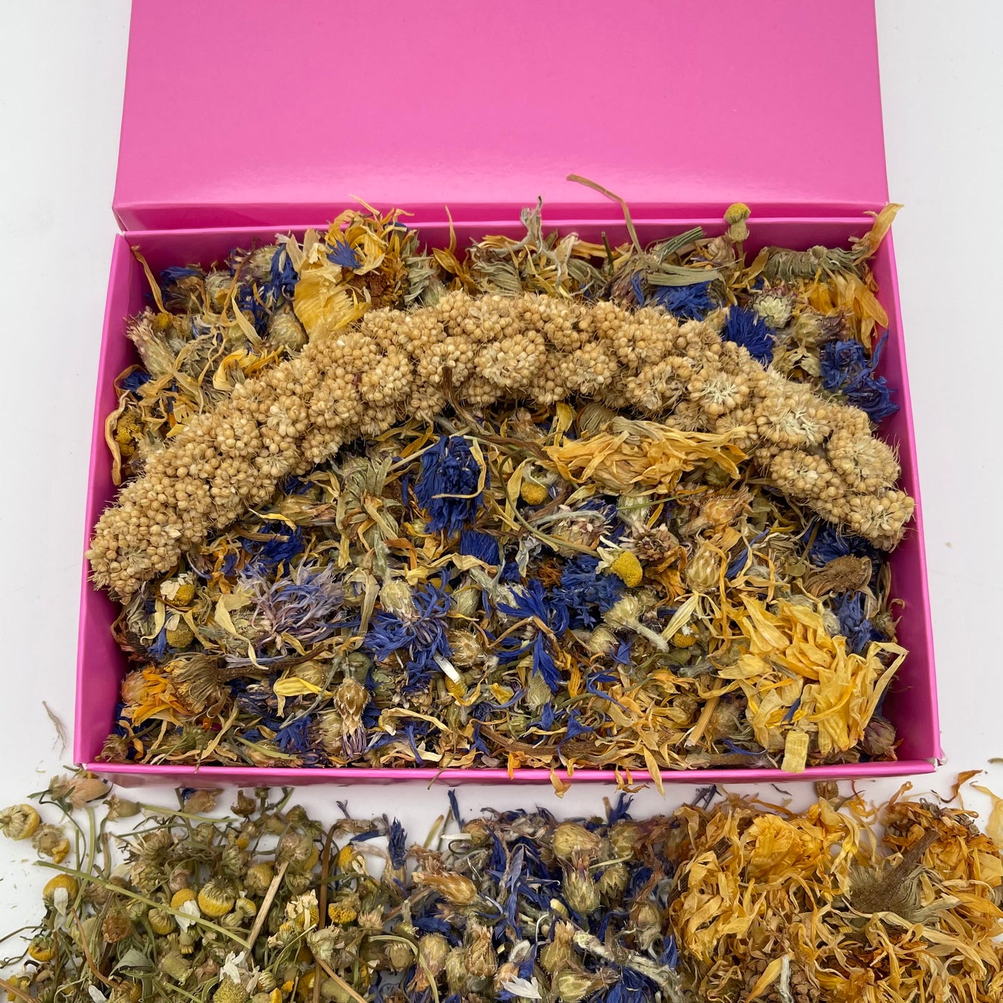 Mini Seaside Forage Box