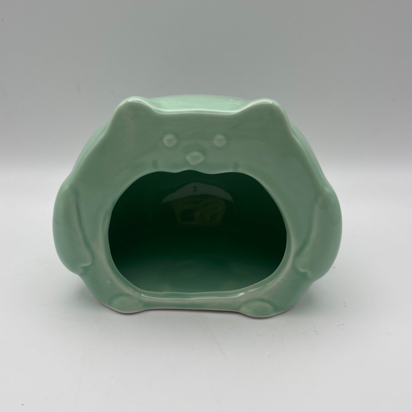 Mint Green Ceramic Hide