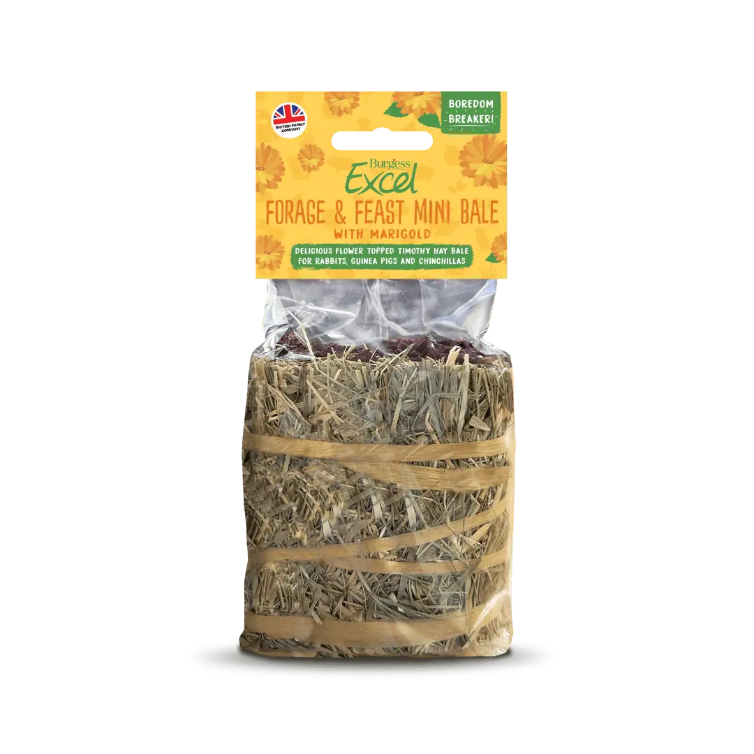 Burgess Excel Forage & Feast Mini Bale with Marigold