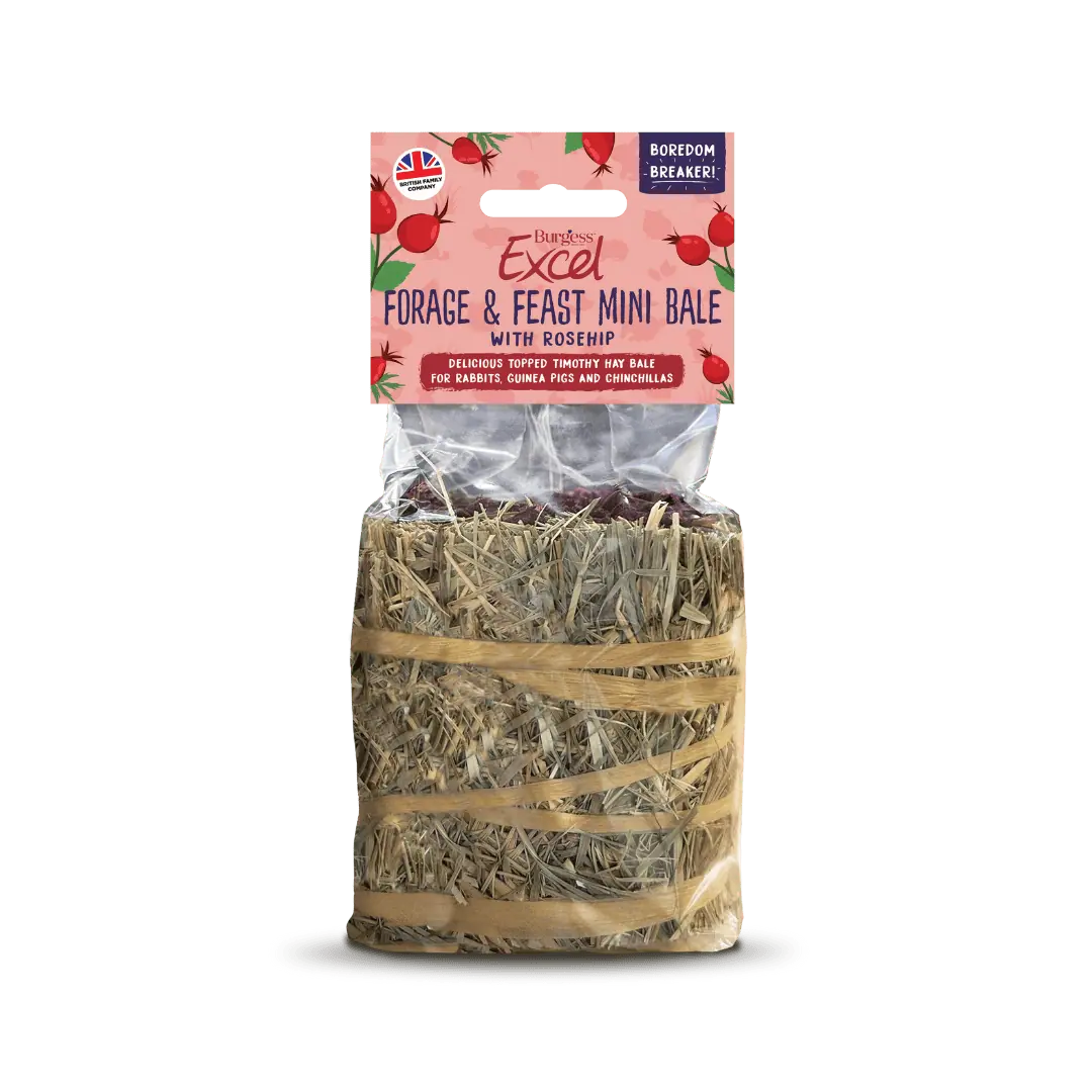 Burgess Excel Forage & Feast Mini Bale with Rosehips