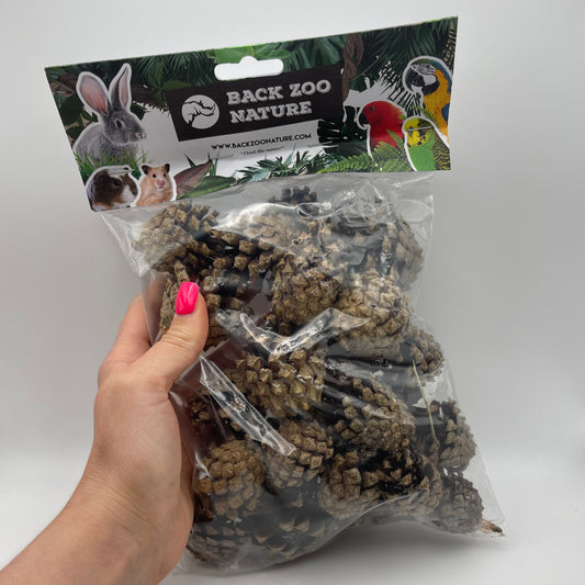 Large pack of Forest Pine Cones
