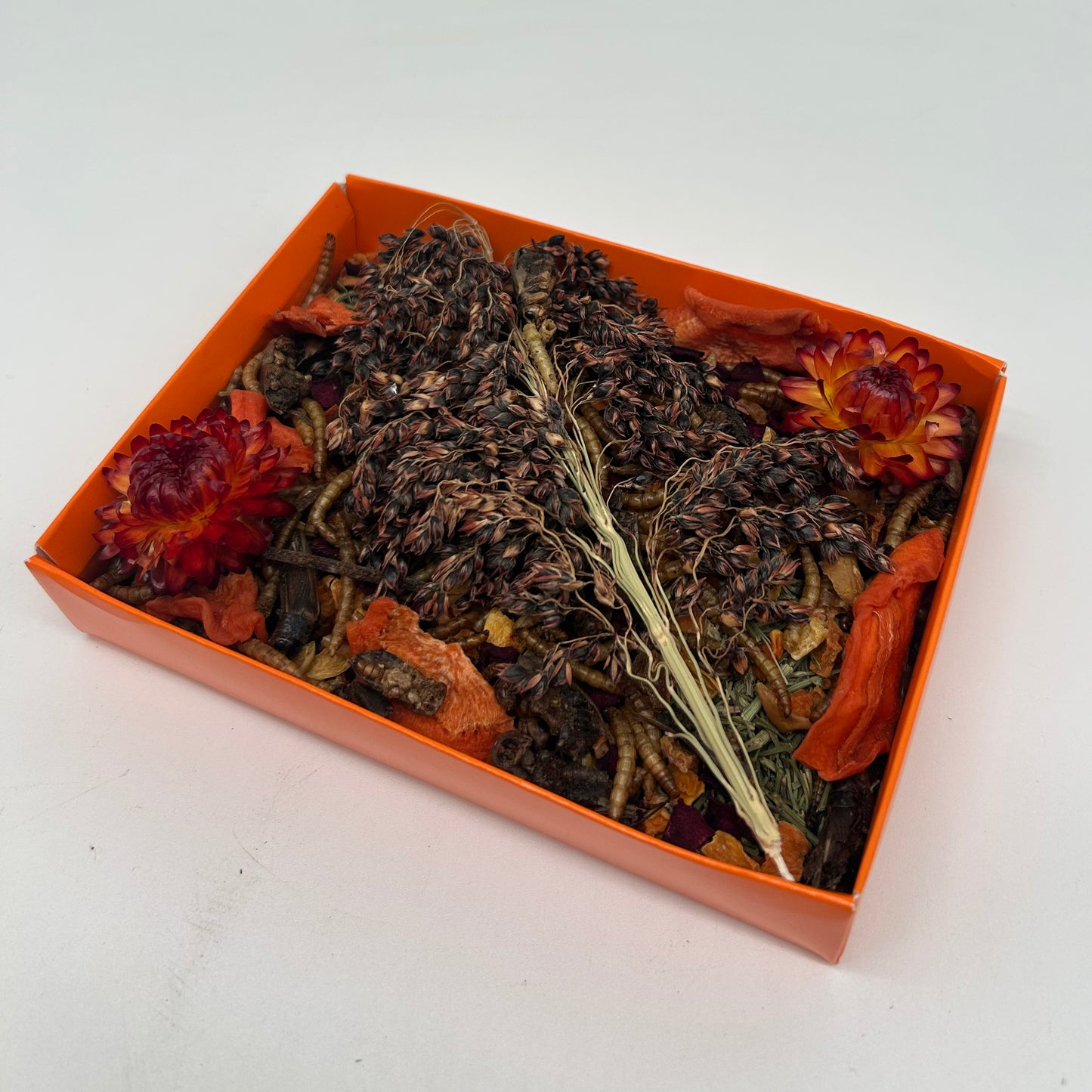 Halloween Forage Box for Hamsters & Gerbils