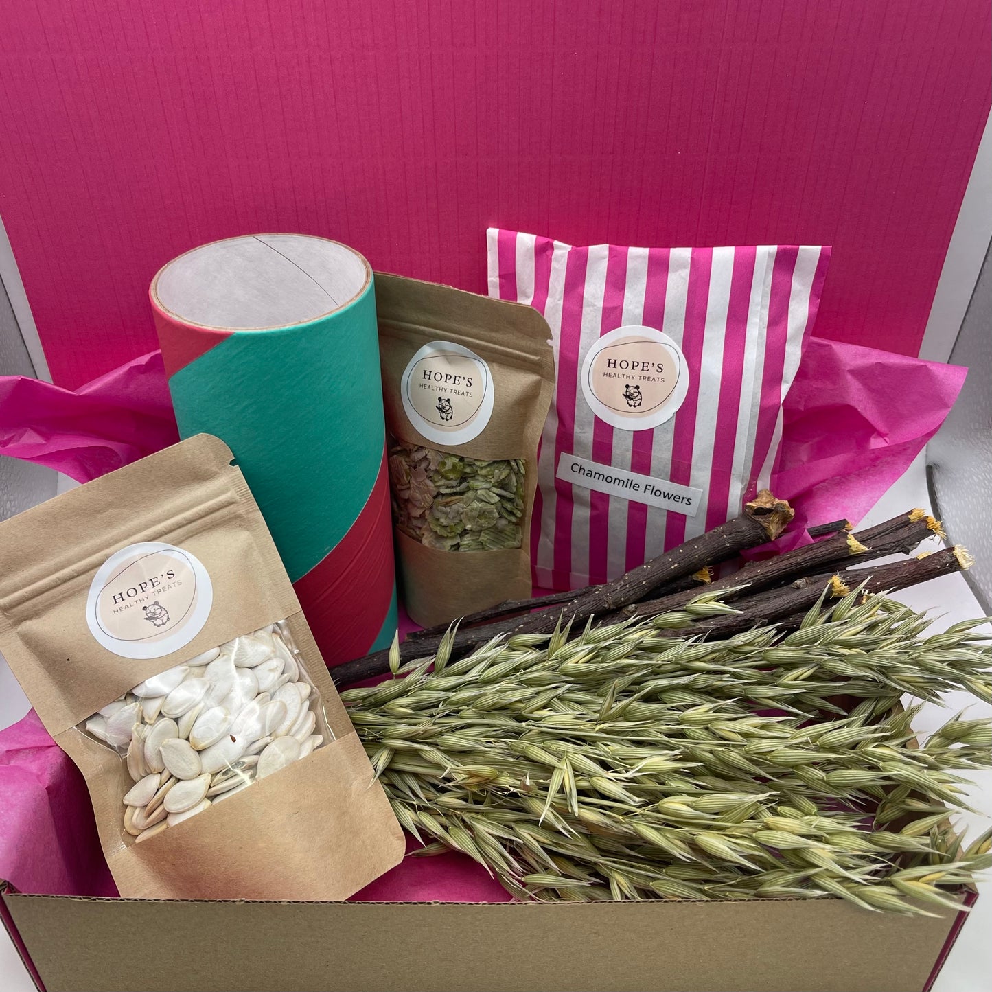 Mouse Subscription Box