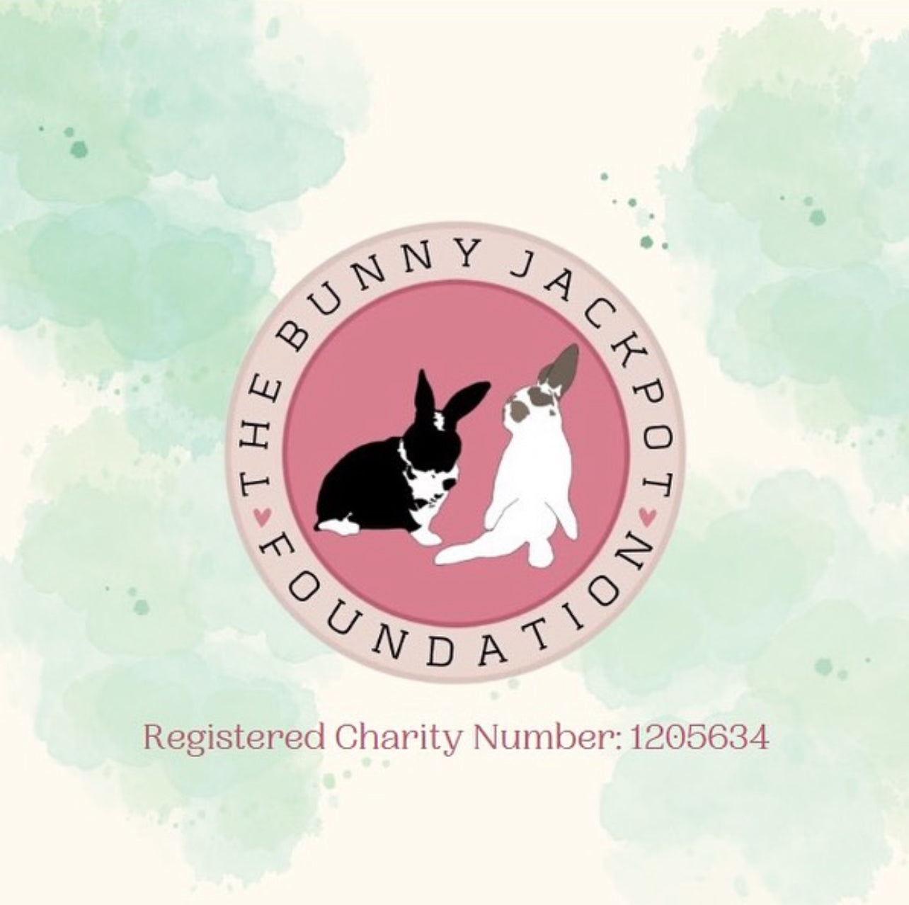 Donation Box for the hamsters at The Bunny Jackpot Foundation