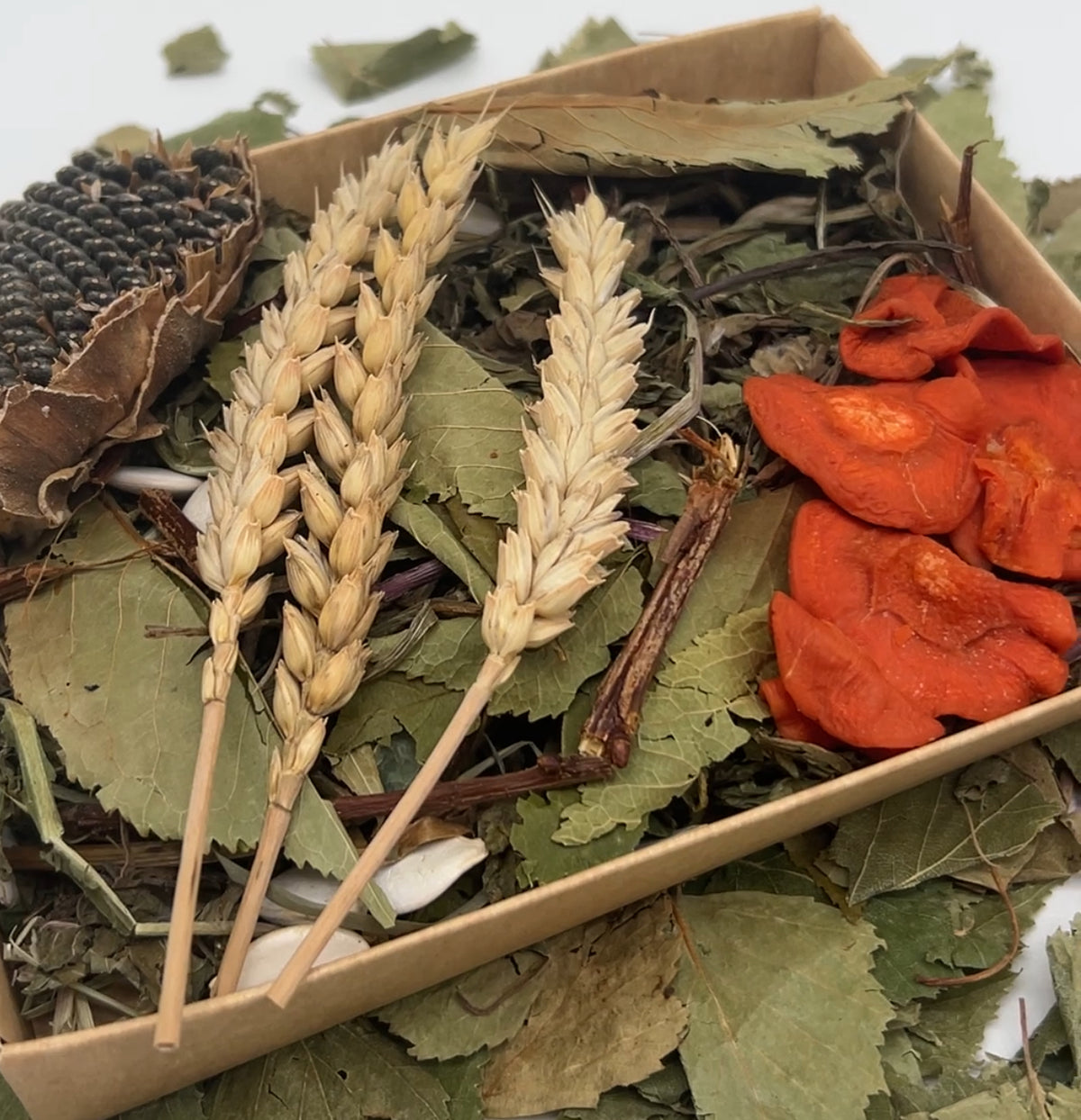 Autumn Forage Box