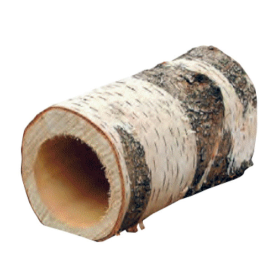 Birch Tunnel