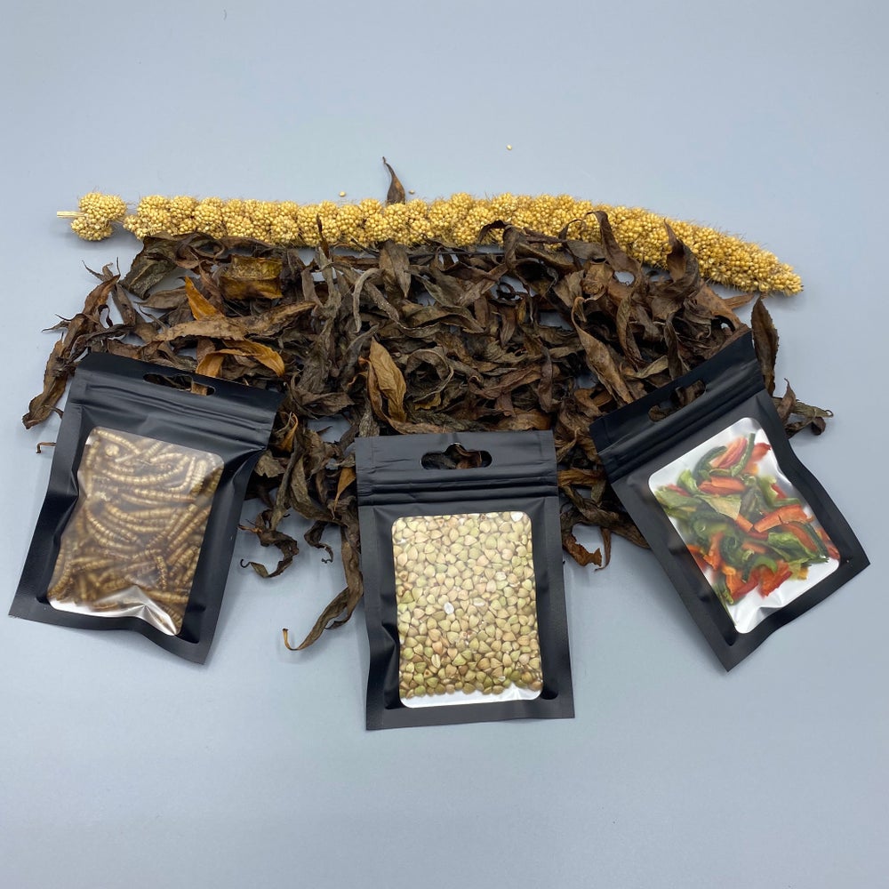 Hamster Forage Box