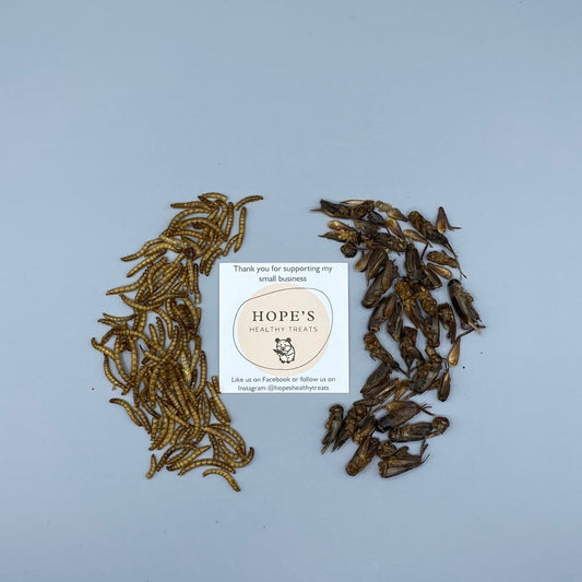 Critter Sample Bag
