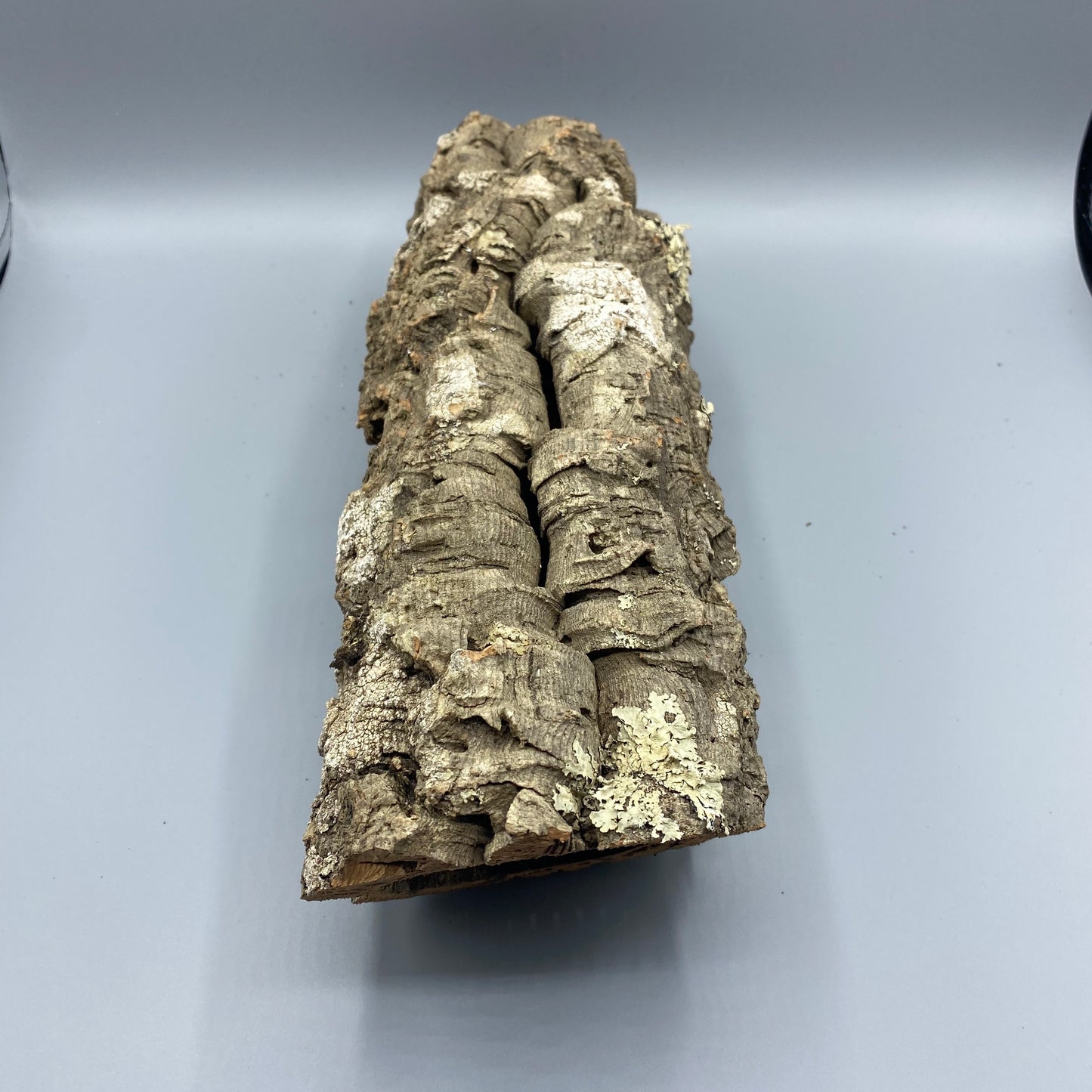 Cork Log Tunnel