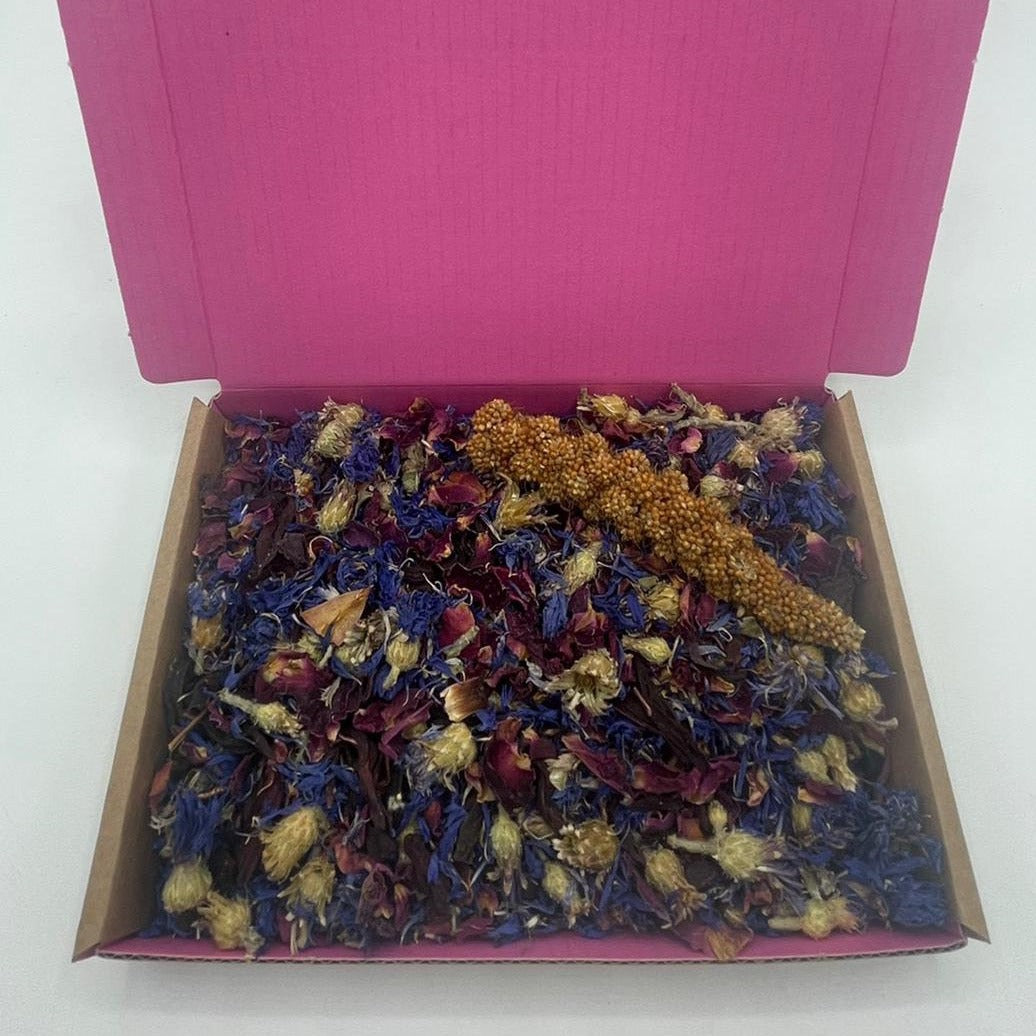 Mini Royal Forage Box