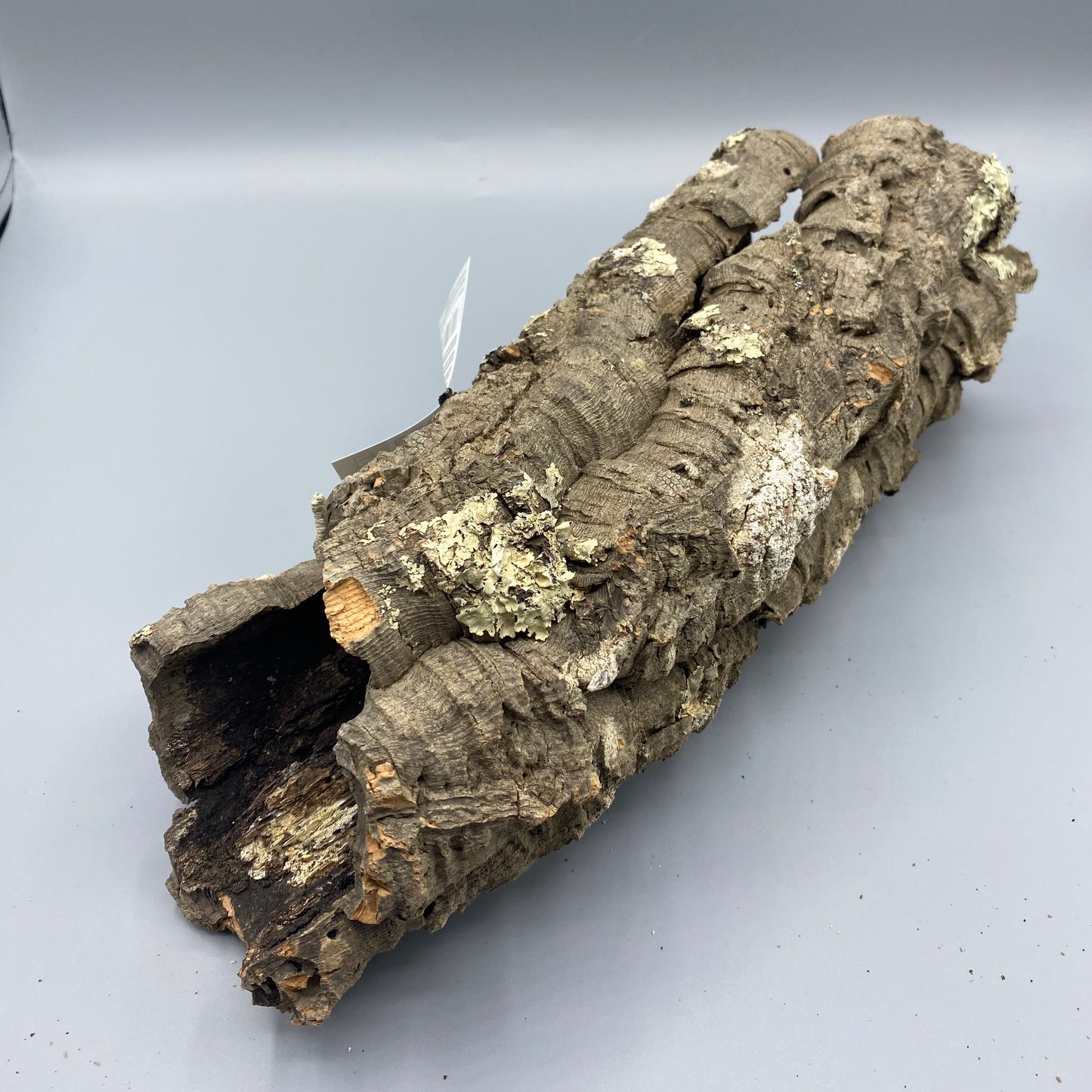 Cork Log Tunnel