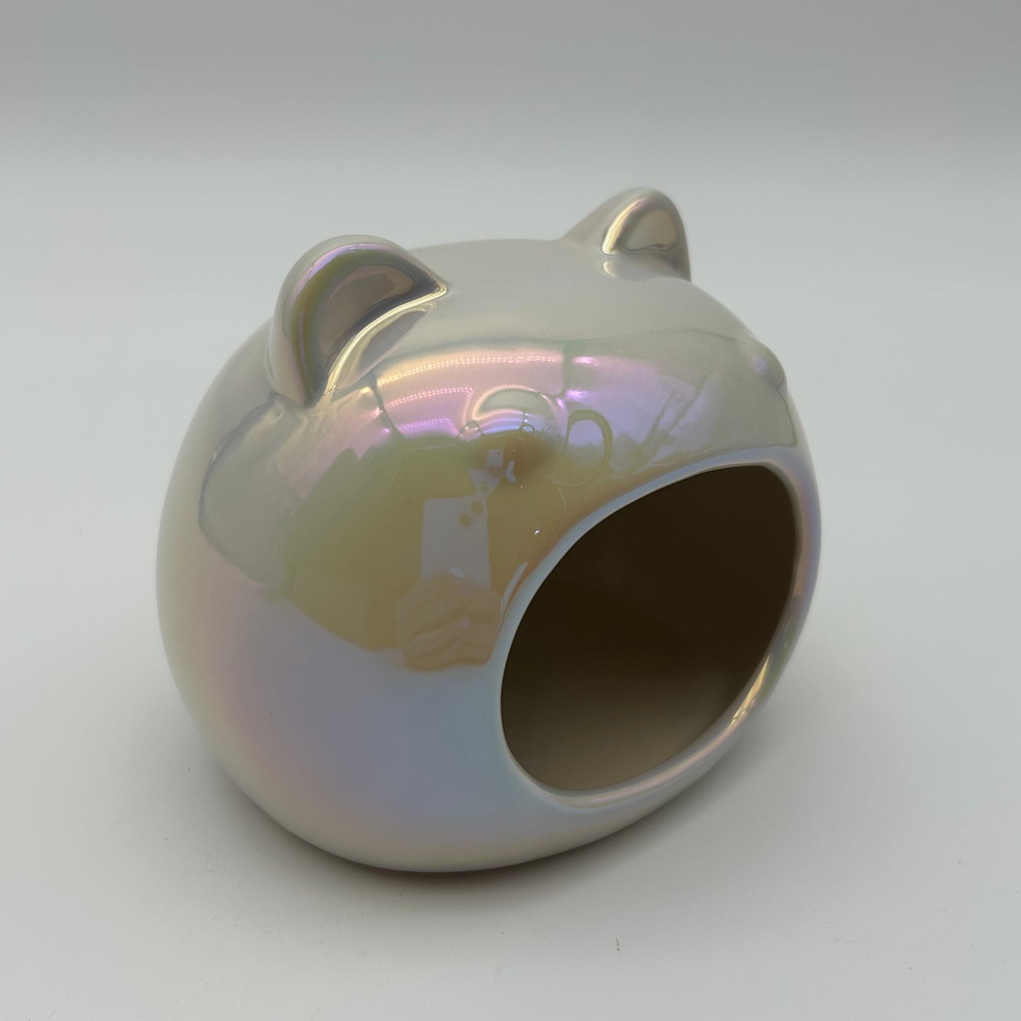Holographic Ceramic Hide