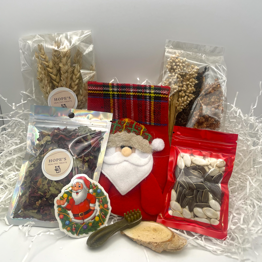 Christmas Stocking for Rats & Mice