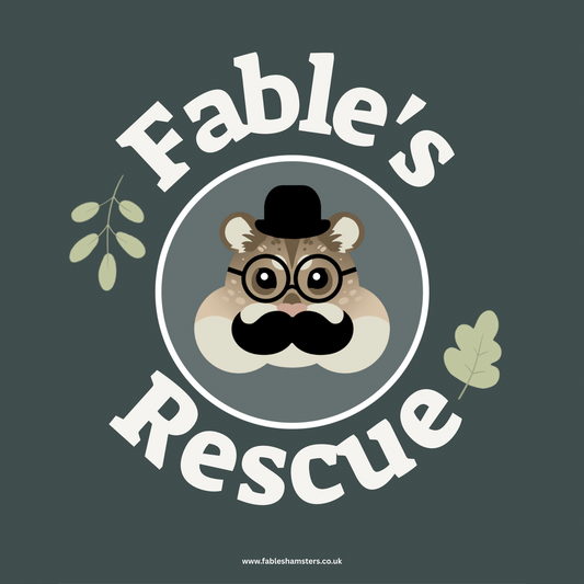 Donation Box for the hamsters at Fables Hamster Rescue