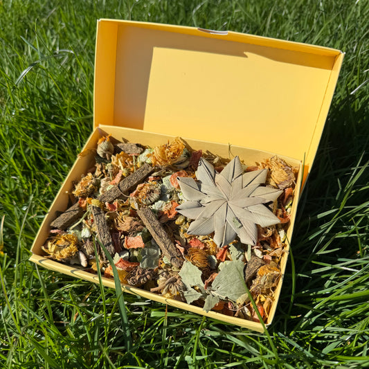 Springtime Forage Box for Rabbits & Guineapigs