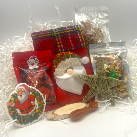 Christmas Stocking for Hamsters & Gerbils