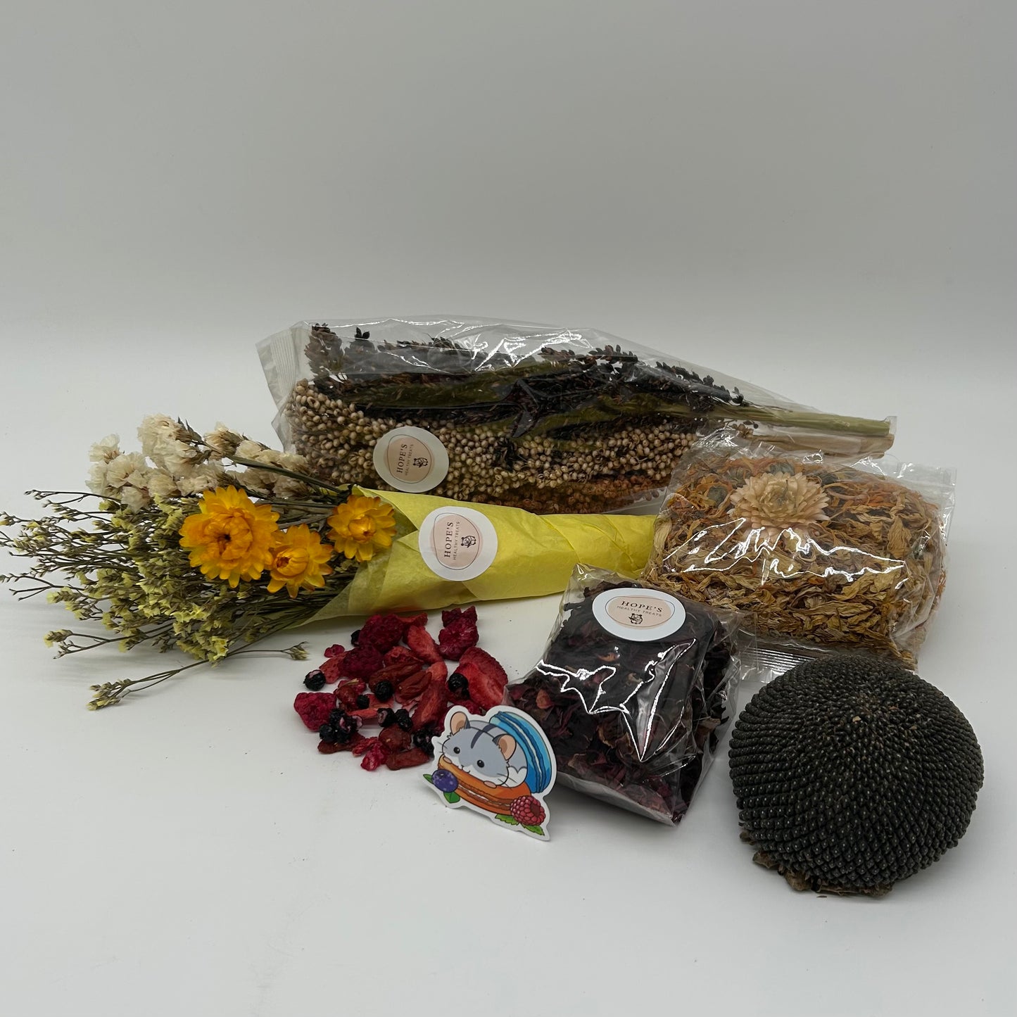 Gerbil Subscription Box