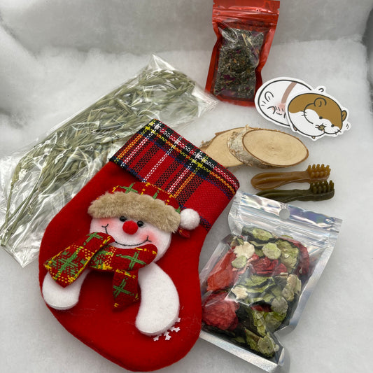 Christmas Stocking for Hamsters & Gerbils