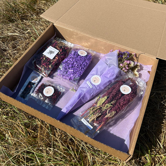 Hamster Subscription Box