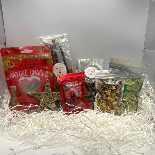 Christmas Stocking for Rabbits & Guineapigs
