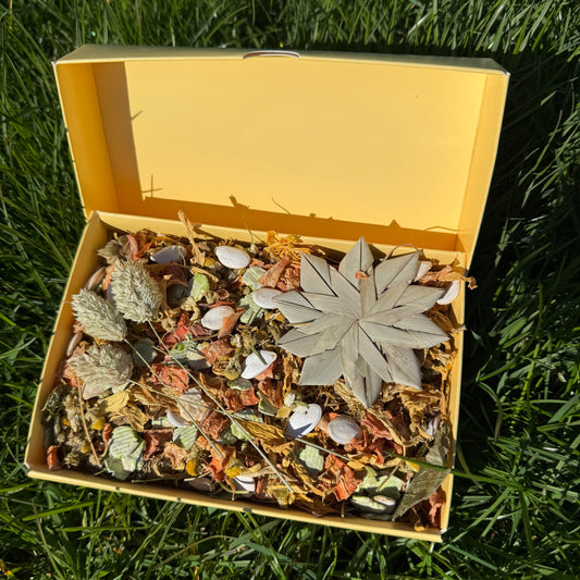 Springtime Forage Box for Hamsters & Gerbils