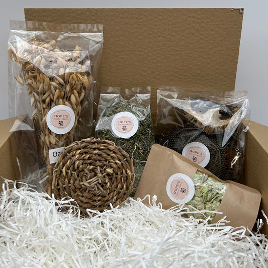 Rat Subscription Box