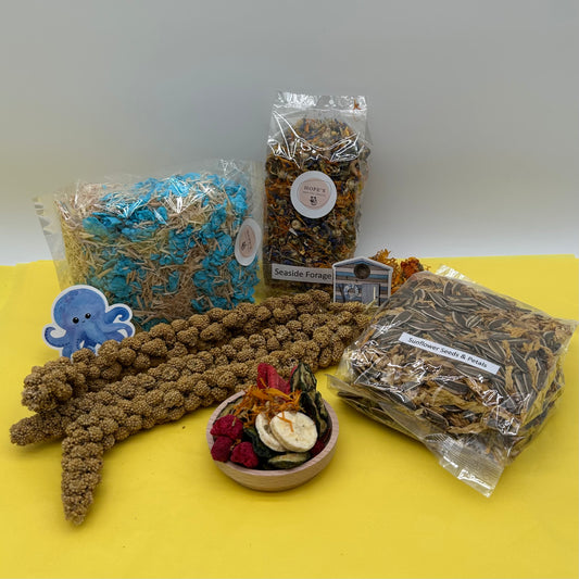 Gerbil Subscription Box