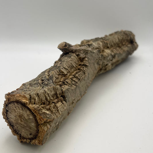 Cork Branch