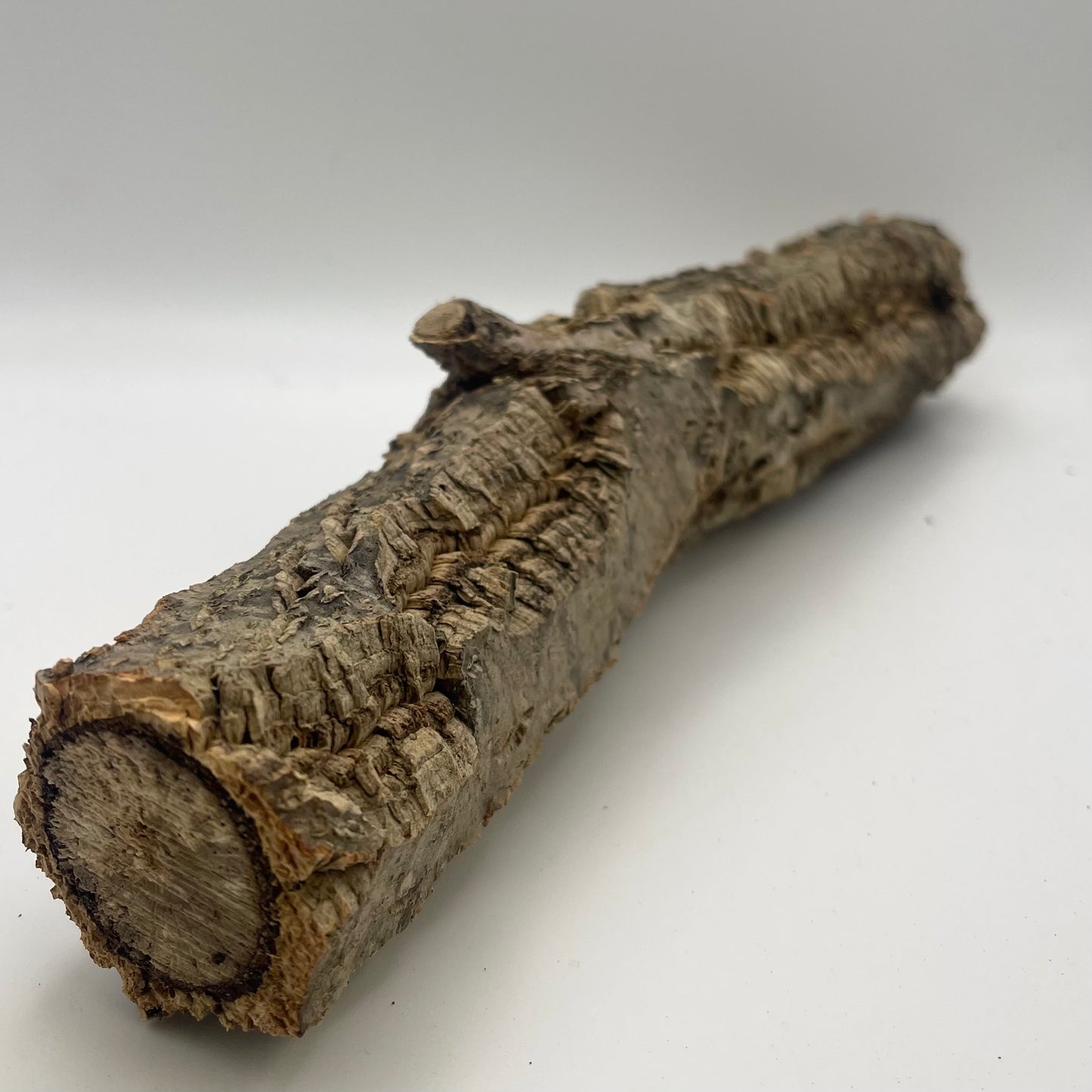 Cork Branch