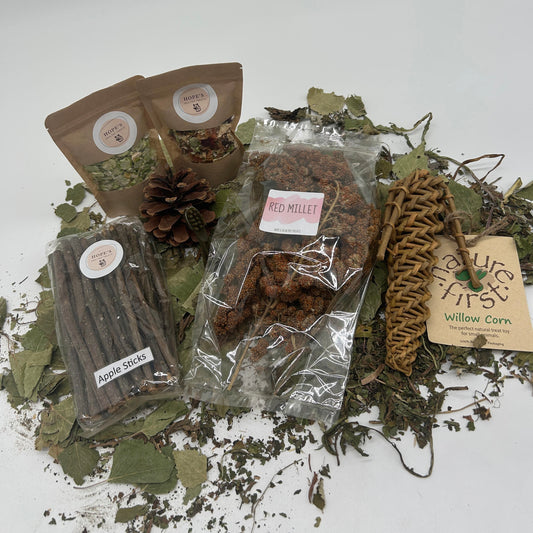 Gerbil Subscription Box
