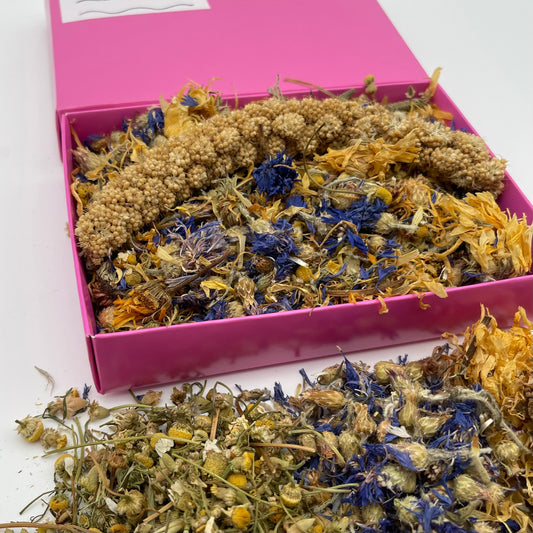 Mini Seaside Forage Box