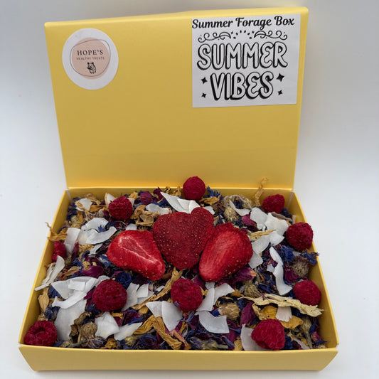 Summer Vibes Forage Box