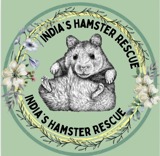 Donation Box for the hamsters at India’s Hamster Rescue