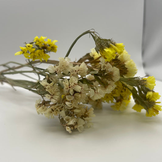 Yellow Statice Flowers