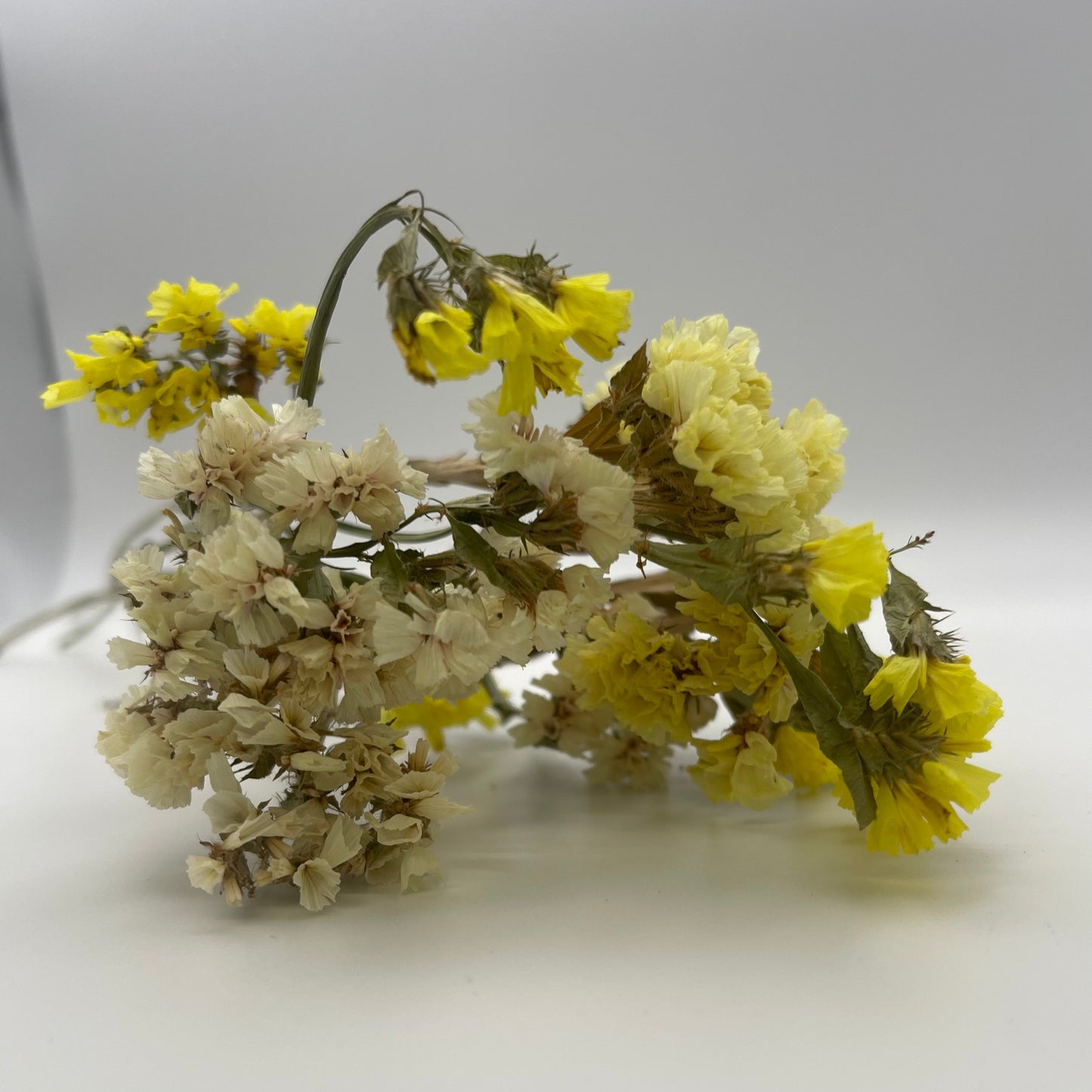 Yellow Statice Flowers