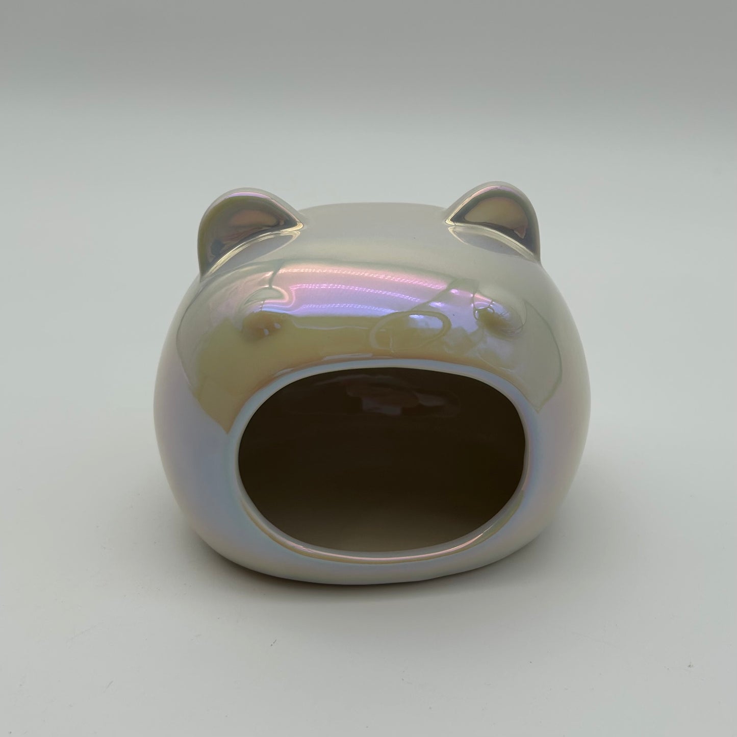 Holographic Ceramic Hide