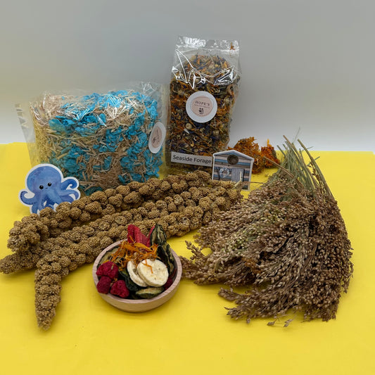 Hamster Subscription Box