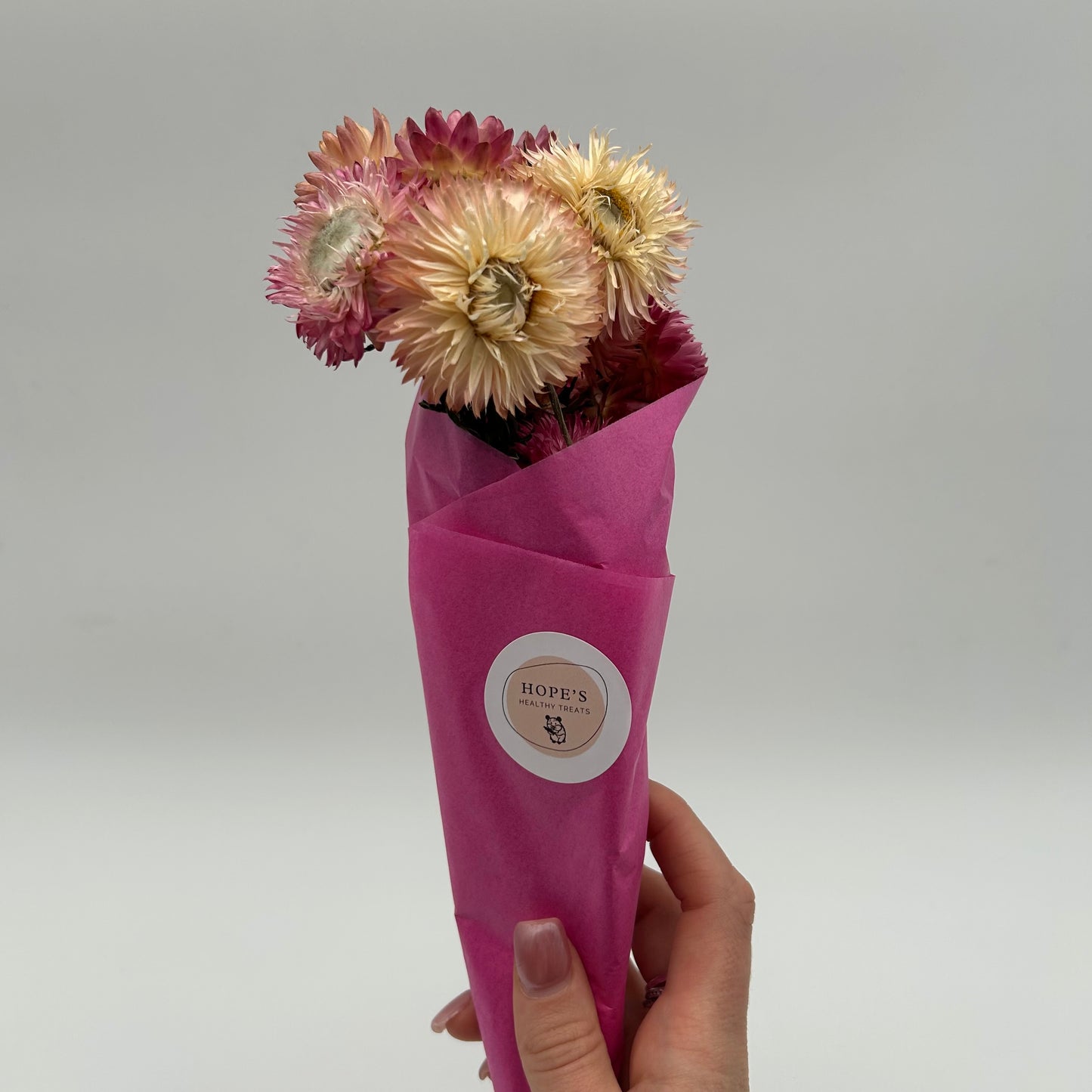 Strawflowers (Mixed Pink)